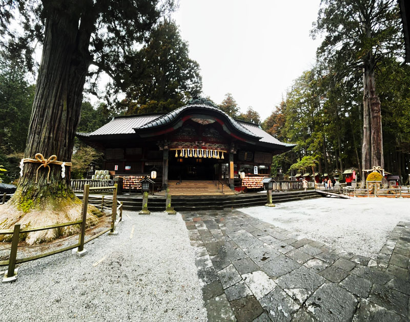 Traditional Japanese temple set amidst tall trees, featuring an intricate roof and wooden architecture. The entrance is adorned with ceremonial decorations.